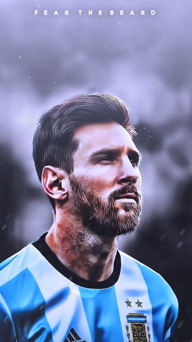 在过去几个 在过去几个